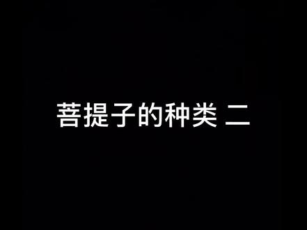 菩提子的种类 二#菩提子 #文玩手串 #黄花梨#小叶紫檀手串