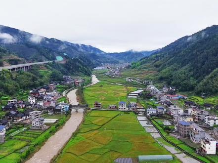 难念的经,血压飙升版。#搞笑配音#改编歌曲大实话 #