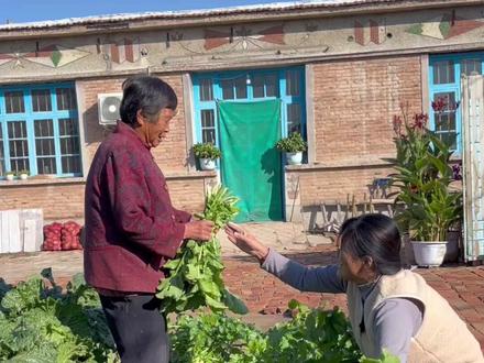 萝卜缨子可是个好东西,它是天然钙片,老话说,姜开胃,蒜打毒,萝卜缨子壮筋骨,大家一定一定不要把萝卜缨子扔掉了,今天用萝卜缨子蒸的菜团子,特别的好吃#新农人计划2023 #记录真实生活 #抖音乡村生活家 #在平凡日子里热爱生活