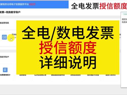 全电/数电发票授信额度详细说明 #数电发票 #全电发票开具 @DOU+小助手