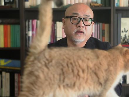 穆斯林为什么不吃猪肉? #穆斯林 #回族 #猪肉 #中东 #犹太人