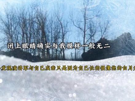 原来他所有的温柔给的都是那个长的跟我很像的白月光的 #广播剧 #虐心 #配音 #声优都是怪物 (ys@空城吖 )
