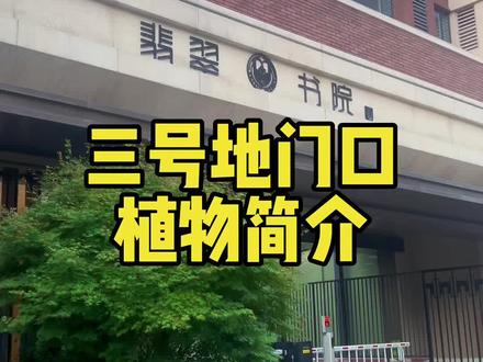 今天实拍翡翠书院三号地进出口的绿植,希望大家对我蹩脚的普通话多一点宽容#房产销售 #新房推荐 #售楼部日常 #石家庄