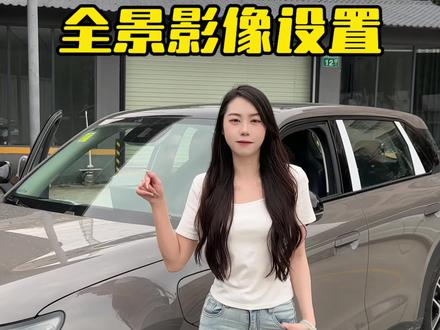 零跑A10全景影像设置小教程#零跑A10