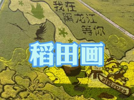 黑龙江富锦万亩水稻公园,稻田画
#稻田画