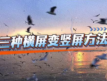 横屏变竖屏的方法#剪映#剪辑四大功能#剪辑技巧#零基础学剪辑#剪映初学者教程