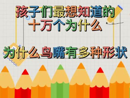 十万个为什么——为什么鸟嘴有多种形状