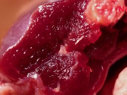 像红宝石颜色一样的獾子肉 您肯定没吃过#特种养殖