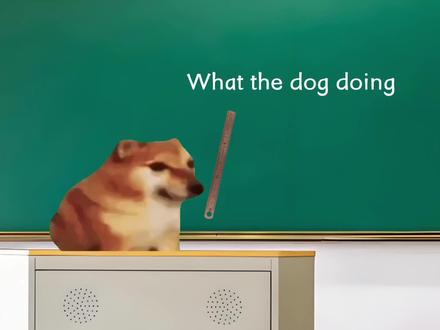 我的刀盾 比比拉布 #抽象 #猫meme #英语