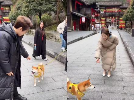 #龙浩天 #龙浩天瑶瑶 #土豆 #不理妈妈 #气到了 土豆来了,瑶瑶看到土豆好开心,叫土豆都不理她,瑶瑶都被气到了,你的狗粮都是我买的不理我,后面队长来了叫了土豆,土豆很开心的走向队长,真是理爸爸不理妈妈,瑶瑶又叫了土豆,还是没有理她😂气的打土豆屁股了@龙浩天🐲(酉阳桃花源摆手堂直播) @龙浩天🐲(恩师梅尼耶) @AI瑶瑶☀️ @瑶瑶小撑腰☀️