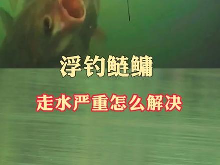 #上热门 浮钓鲢鳙走水严重怎么调整?#浮钓鲢鳙 #钓鲢鳙技巧 #万物皆可种草搜