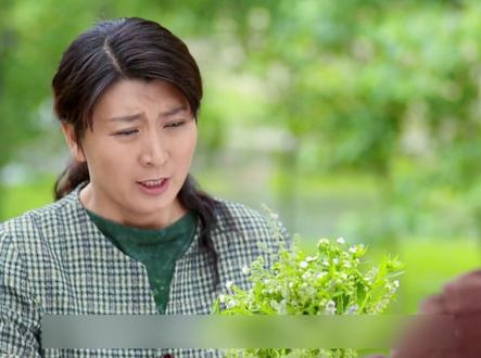 #俺娘田小草 #家庭情感剧 #年代剧电视剧推荐