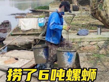 没有许可证 捞螺蛳也违法!!!#螺蛳 @DOU+小助手 @DOU+上热门 @美丽浙江