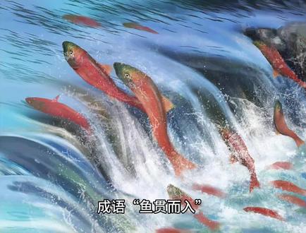 成语解释,鱼贯而入。 #成语 #成语天下 #成语积累 #成语大全 #成语解释 #成语学习