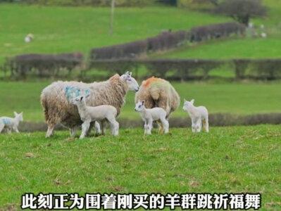 故事的结尾终究配不上真诚的开始 #杜克 #一哥 #人性