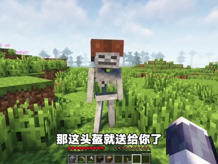 我救了一群朋友,但它们的爸爸却冤枉了我 #我的世界