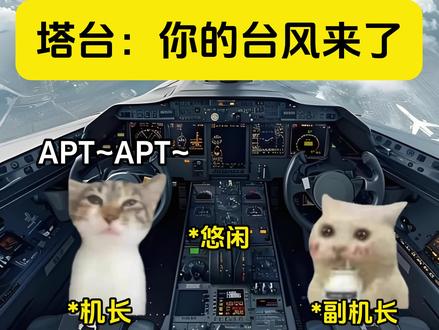 塔台:你的台风来了 #猫meme #这是个真实的事情 #内容过于真实 #泰利