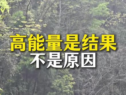 春天一定要走进大自然,拥抱大树,与天地自然共处。大自然就是能量场。很喜欢一段话,分享给大家,“高能量,从来都不是原因,而是结果。不是等你有了状态才去行动,而是你先行动,状态才会跟上。”
#春天 #大自然 #高能量 #能量场 #植物