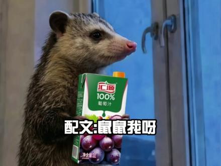 负鼠表情包成新晋顶流!鼠鼠统治互联网? 一不留神,表情包届新顶流又诞生了,一只背着手站在窗边往外看的负鼠。不知道有什么魔力,与它有关的表情包正在像线面一样无限繁殖中...
#负鼠 #负鼠表情包 #热门表情包 #精神状态belike #出圈