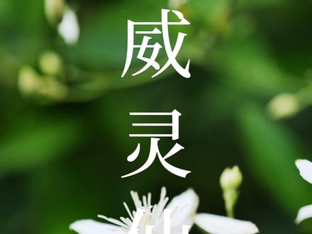 吃鱼被细小的鱼刺卡住,去医院麻烦,要不试试这个?#DOU上热门 #健康