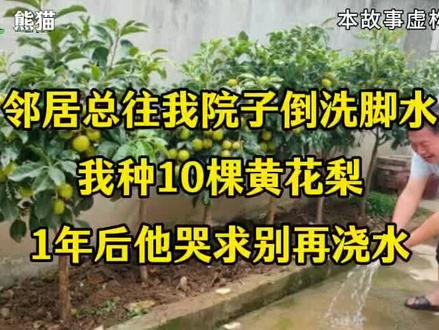 邻居总往我院子倒洗脚水,我种10棵黄花梨,1年后他哭求别再浇水