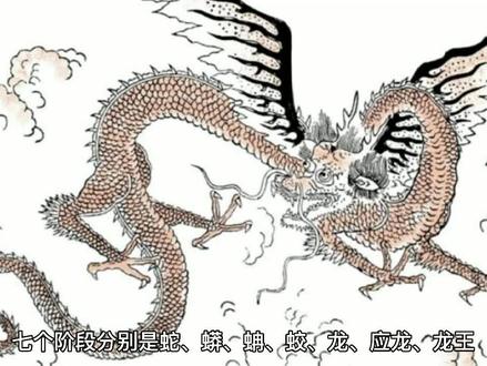 传说中的化龙7阶
