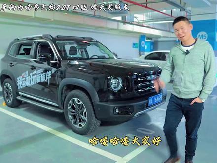 用车小妙招又来啦!一键升窗你学会了没~想了解哪些用车知识,评论区告诉我#哈弗大狗 #用车有妙招