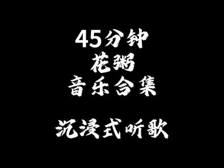 45分钟花粥音乐合集 #音乐 #音乐分享 #戴上耳机 #听歌