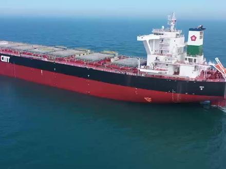 速看!2026年基本安全换证新规。#船员换证 #国际海员