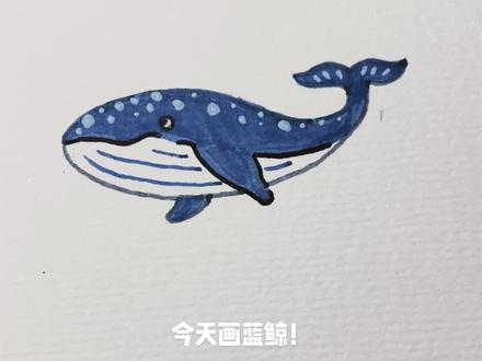 简笔画教程|三步画蓝鲸#简笔画 #跟着抖音学画画 #儿童画 #画画