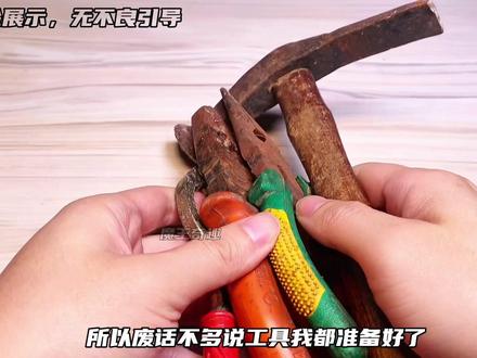 把清道夫的豆腐脑换成6颗福寿螺卵 #趣味实验#清道夫奇葩试验 #福寿螺 #奇葩实验 #解压