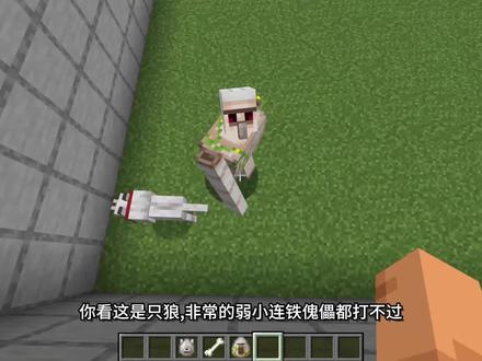 我的世界,MC,狼,不死不灭#游戏视频 #游戏