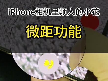 iPhone的微距功能真烦人!#iphone原相机#iPhone小技巧#苹果手机#数码科技#创作灵感