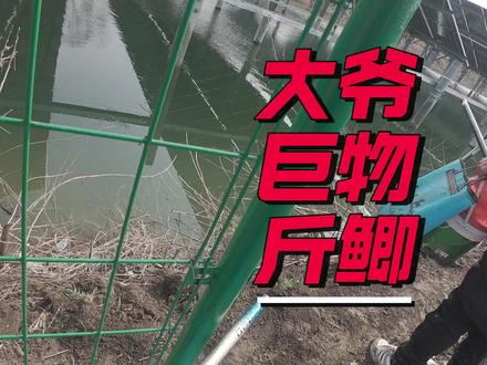 跟着大爷探钓野塘,斤鲫连杆#野河野钓 #原来钓鱼才是抖音运动顶流 #喜马罗夜光漂 #螺纹钢小综合 #螺纹钢极 @喜马罗官方旗舰店 @汉鼎官方旗舰店