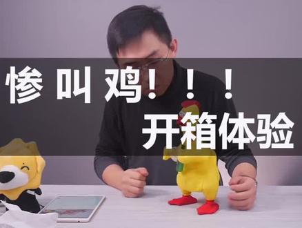 惨叫鸡开箱体验