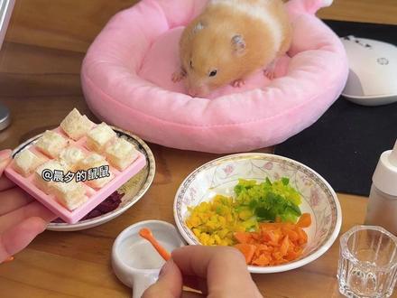 鼠鼠也吃上霉豆腐了 广东鼠不加辣!!!#金丝熊 #金丝熊日常 #养鼠日常分享 #仓鼠 #萌宠出道计划