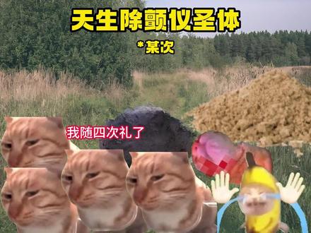 天生除颤仪圣体#猫meme