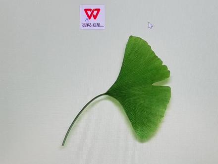 WPS office免登录及关闭广告方法#wps