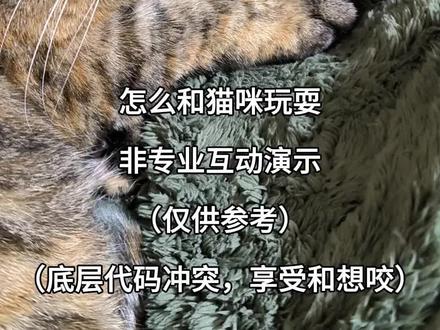 猫在代码冲突这一块…#铲屎官的乐趣 #猫咪的迷惑行为 #谁家萌宠这么搞怪 #铲屎官讲故事
