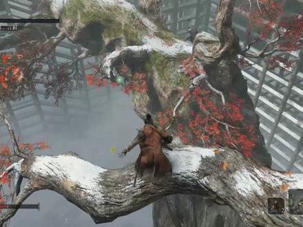 【只狼随机MOD】水生欢迎您