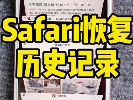 苹果自带浏览器历史恢复!你学废了吗? #苹果手机使用小技巧 #精品二手机 #苹果 #苹果手机 #手机使用技巧