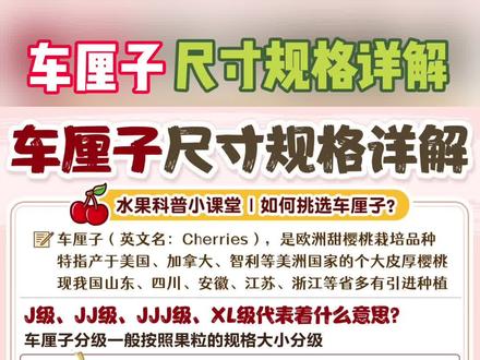 车厘子大小分级(以智利为代表的J等级,J越多,车厘子的个头就越大)
🍒L: 果径为22mm-24mm
🍒XL:果径为24mm-26mm
🍒J: 果径为26mm-28mm
🍒JJ(XJ/SJ):果径为28mm-30mm
🍒JJJ(G/P/XSJ/SXJ/XXJ/SSJ):果径为30mm-32mm
🍒JJJJ(XG/SG/XP/SP/XXXJ/XXSJ):果径为32mm以上
《选车厘子步骤》
先看品种(好吃的品种无论大小,大概率不会出错)
再看级别(先选D级,R或L级都会偏酸)
看果大小(高性价比建议2J,味道好、品质优建议3-4J)
车厘子怎么储存
车厘子适合的保存温度在2-5度,避免过热或过冷
储存车厘子时带着果梗,可以减少坏的可能性
使用厨房用纸:在冰箱中储存车厘子时,可以在保鲜袋底部和顶部各放一层厨房用纸,以吸收可能产生的水汽,延长车厘子的保存时间
避免使用塑料袋或塑料盒:由于这些容器透气性不佳,建议使用纸盒来包装车厘子,可以延长保存时间
常见车厘子品种清单(甜度、口感对比一览)
雷尼尔:甜度高、带特殊果香
黄蜜: 皮薄甘甜、果肉较软
科迪亚:含糖量高、甜嫩脆甜
冰/宾: 果核小、果肉脆硬
桑提娜:鲜嫩脆甜、酸度较低
瑞吉娜:质地脆爽、皮略厚
甜心: 脆甜、硬度高
布鲁克斯:爽脆甘甜、糖度较高
皇家黎明:果肉汁水足、酸甜适中
俄罗斯8号:果皮厚韧、甜香味浓
先锋: 肉厚多汁、果皮厚且有韧性
黑珍珠:口感松软、果肉多汁
美早: 个头较大、果肉厚甜
红杉: 果肉爽脆、酸甜适中
拉宾斯: 果肉很Q、酸甜比柔和
大红灯#关注我每天坚持分享知识 #水果知识 #每天跟我涨知识 #挑选水果保姆级攻略 #小常识每天为你更新