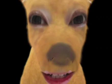 个人观点,大家理智分析,大家追星愉快#desire4 #黄星 #邱鼎杰 #江衡 #李沛恩