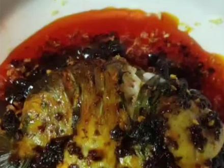 #兰寿观赏鱼 #兰寿 #养鱼日记 #观赏鱼 #鱼缸里的大自然 #萌宠 #养鱼养心 观赏鱼能不能吃? 即使品种能吃也不建议食用哦。你的身体比鱼宝贵。🐠