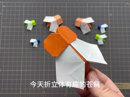立体有趣的苍蝇,简单手工折纸苍蝇#折纸 #手工diy