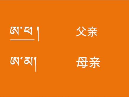 藏文基本词汇#每天学习一点点 @抖音小助手