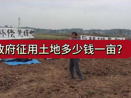 政府征用土地多少钱一亩?#征收补偿 #法律常识 #抖来学法 #法律咨询 @抖音小助手 @抖音创作者中心