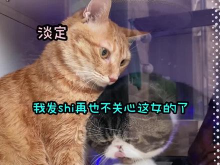 豆包包:你看我下次还关心这女的不🙂