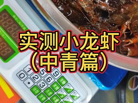 别再被商家忽悠了!
今天实测:小龙虾中青,一斤到底有多少只?
数给你看,看完你就知道,你买的到底亏不亏!
敢不敢在评论区报一下,你那边一斤多少只? #一斤小龙虾多少只 #中青小龙虾 #小龙虾避坑#同城美食 #烧烤店日常