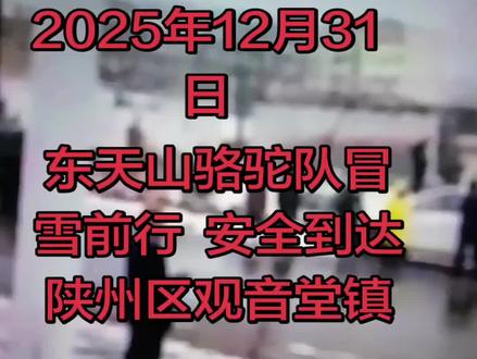 2025年12月31日 东天山骆驼队冒雪前行,已安全到达陕州区观音堂镇👏👏🎁🎁👍👍🌹🌹